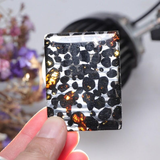 Beautiful SERICHO pallasite Meteorite slice - from Kenya - Alchemystics.org