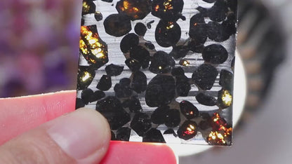 Beautiful SERICHO pallasite Meteorite slice - from Kenya