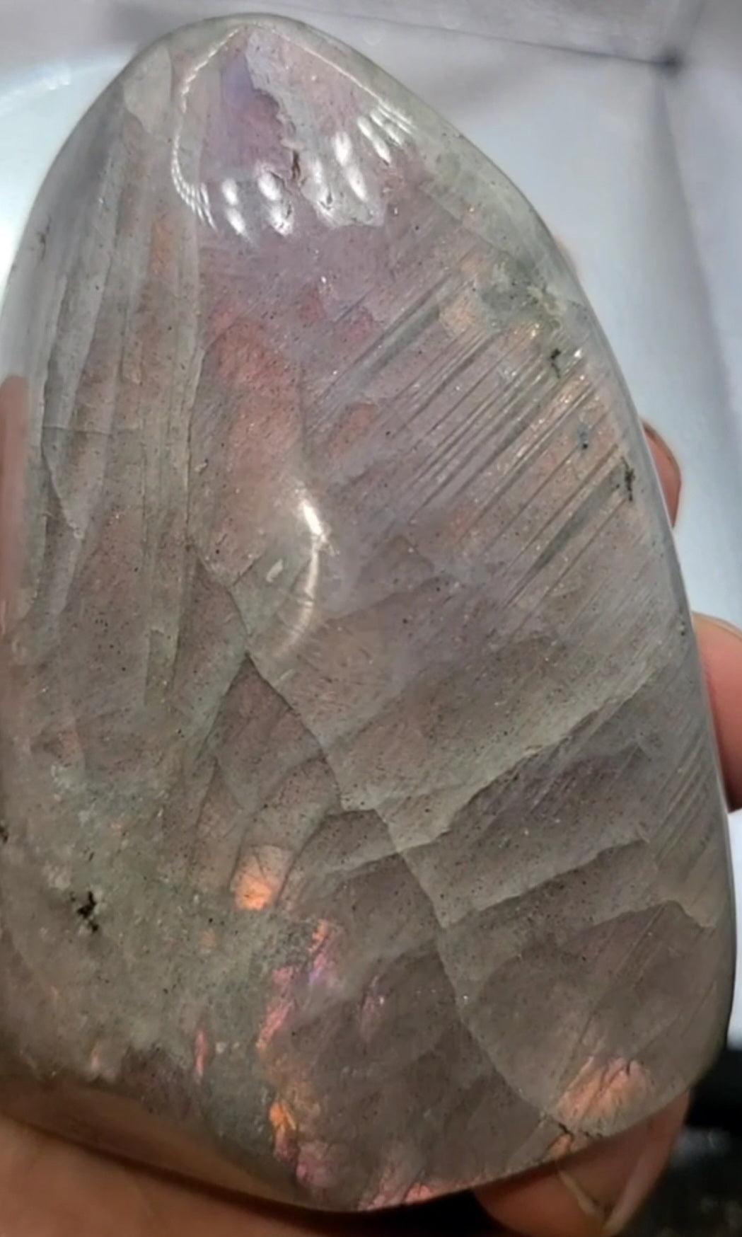 Purple Labradorite Mantle Piece #1 - Alchemystics.org