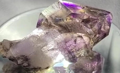 Smokey Amethyst Enhydro Scepter - Alchemystics.org